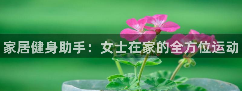 球客岛官网下载开户:家居健身助手:女士在家的全方位运动
